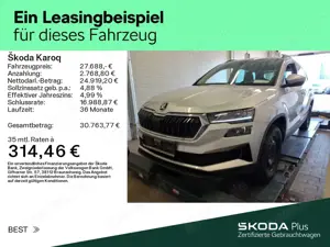 Skoda Karoq Bild 2