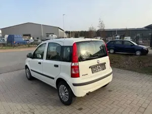 Fiat New Panda 1.2 8V Classic TÜV NEU/2. HAND/USB Bild 4