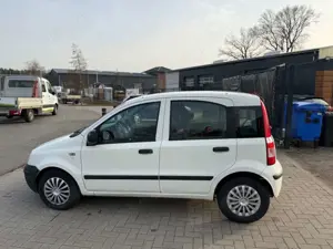 Fiat New Panda 1.2 8V Classic TÜV NEU/2. HAND/USB Bild 3
