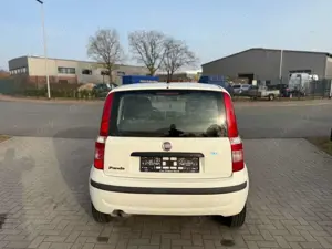 Fiat New Panda 1.2 8V Classic TÜV NEU/2. HAND/USB Bild 5