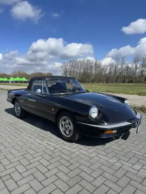 Alfa Romeo Spider