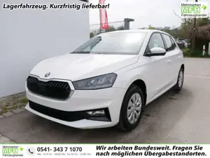 Skoda Fabia Selection 1.0 TSI *LED*PDC-HI*SMARTLINK*SHZ*BLU...