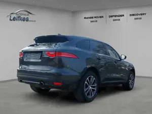 Jaguar F-Pace Bild 5