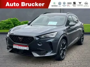 CUPRA Formentor VZ 2.0 TSI 4Drive+Alufelgen+Navi+Klimaautomatik
