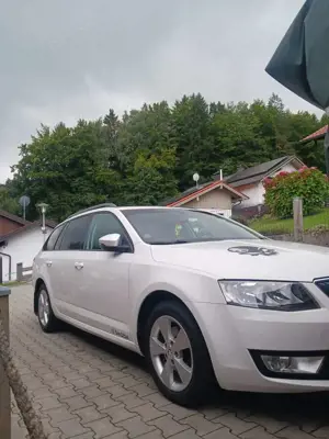 Skoda Octavia Combi 2.0 TDI Green tec DSG Edition