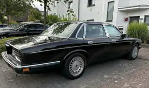Jaguar XJ40 Bild 3