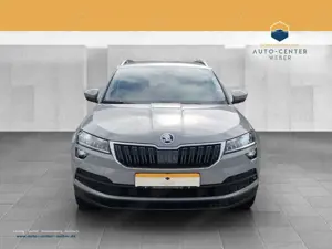 Skoda Karoq Bild 2
