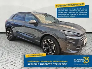CUPRA Terramar VZ 2.0 TSI DSG 4Drive / DCC / AHK schwe