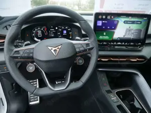CUPRA Terramar 2.0 TSI 4D VZ DSG AHK Matrix Navi RüKa Bild 4