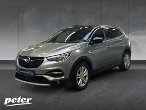 Opel Grandland X 2.0 D 120 Jahre (EURO 6d-TEMP) Cam