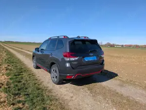 Subaru Forester Bild 3