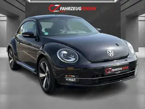 Volkswagen Beetle Bild 2