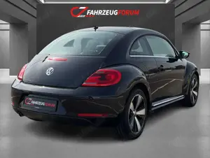 Volkswagen Beetle Bild 3
