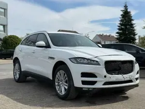 Jaguar F-Pace Bild 3