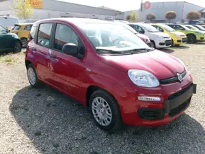 Fiat Panda Pandina ICON ROT