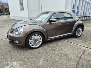 Volkswagen Beetle Design Leder Xenon