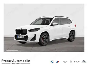 BMW X1 sDrive18i M Sport AHK RFK NAVI LED PDC V+H