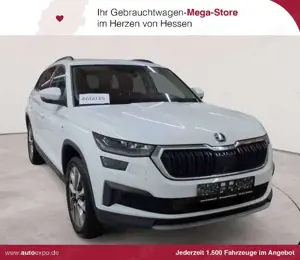 Skoda Kodiaq Kodiaq 1.5 TSI DSG Clever AHK RFK