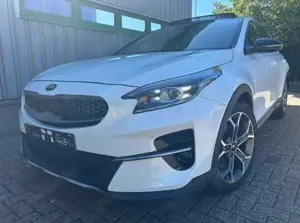 Kia XCeed 1.6 T-GDI OPF DCT7 PLATINUM EDITION
