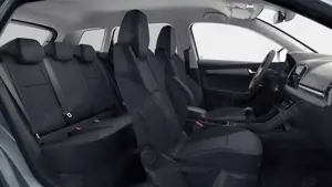 Skoda Karoq Bild 5