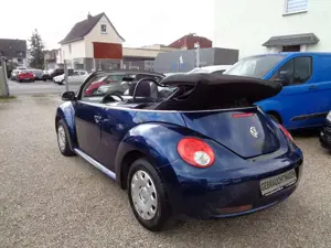 Volkswagen Beetle Bild 4