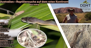 Vortrag: Auf Schlangensuche in Australien
