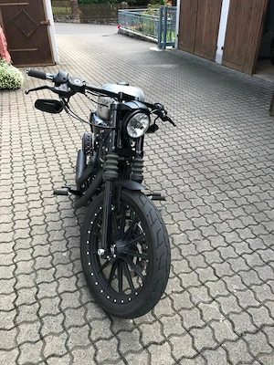 Harley Davidson UNIKAT basierend auf Sportster Iron 883 