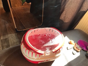 kleintier transportbox