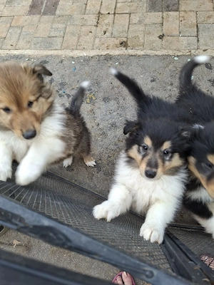 Einfach zum verlieben