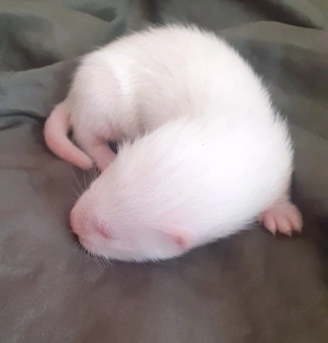 Diese beiden suchen noch ein Zuhause