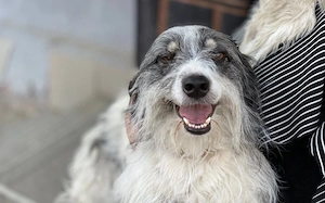 Rani   welch wohlklingender Name: Er bedeutet Königin oder Prinzessin