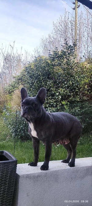 Ich werde es in gute Hände geben.