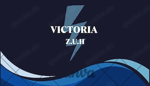 Elektroinstallationen und elektrische Dienstleistungen