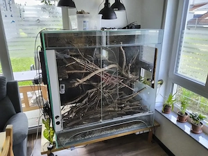 Terrarium aus Glas   ideal für Reptilienhalter