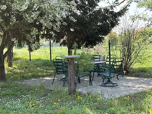 Ungarn: Haus mit Gästeapartment, Südseite Balaton, Plattensee Bild 4