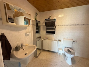 Ungarn: Haus mit Gästeapartment, Südseite Balaton, Plattensee Bild 9