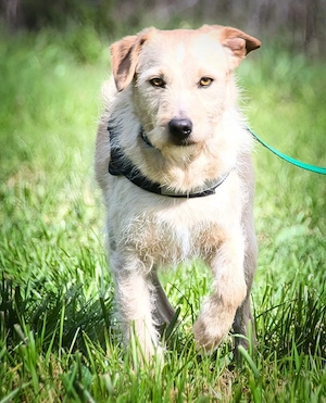 Patrick - auf dem Weg ins Vertrauen