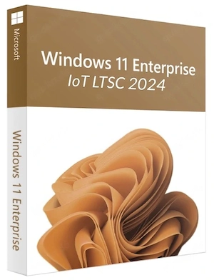 Windowe 11  10 Enterprise IoT LTSC 