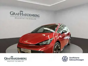 CUPRA Born Spurhalteassistent