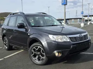 Subaru Forester Forester 2.0X, Tüv Kupplung Neu, AHK,Klima,Pano