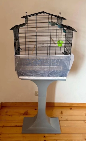 Sperlingspapageien Pärchen