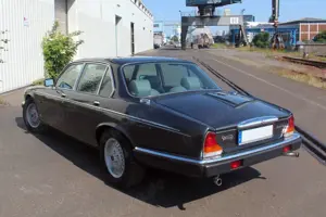 Jaguar Daimler Bild 3