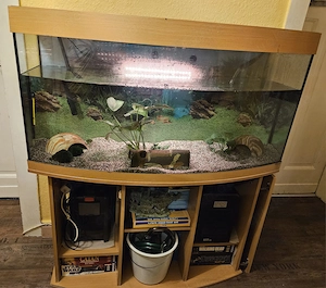 Axolotl komplett Pumpe Kühler Zubehör 