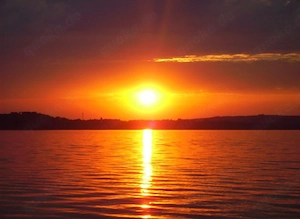 Gentleman Anfang 40, top gepflegt & rasiert   sucht leidenschaftlichen 30-Min-Spaß mit Küssen & 69