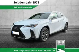 Lexus UX 250h F Sport Leder Kamera SHZ