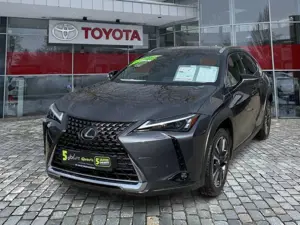 Lexus UX 250h UX 250 h Style Edition zuverlässiger Crossover