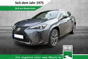 Lexus UX 250h F Sport Leder Kamera SHZ