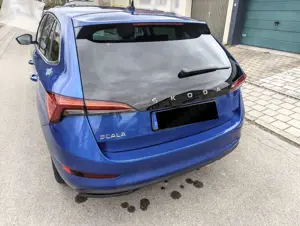 Skoda Scala Bild 3