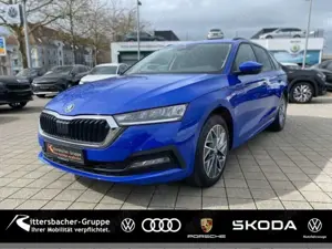 Skoda Octavia Combi 2.0 TDI Tour 4x4 AHK LED Kessy