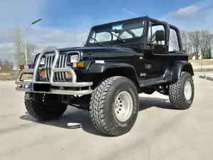 Jeep Wrangler YJ Wrangler 4.0 High Output